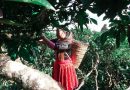 kinh-nghiem-san-may-ta-xua (11)
