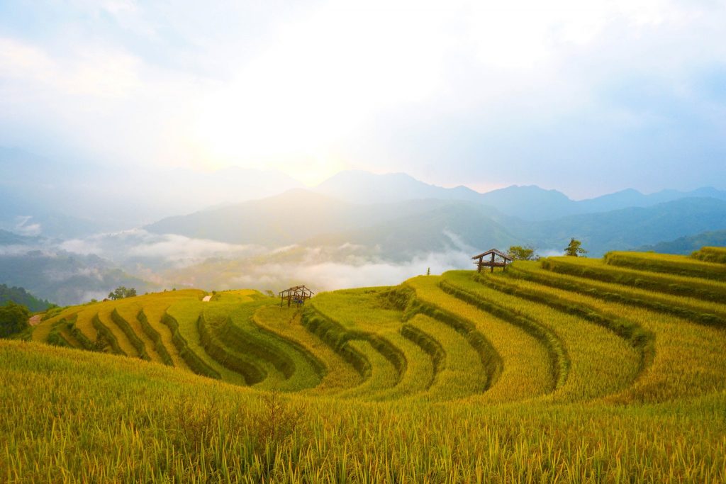 hoang-su-phi-homestay (1)