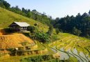 Terraced fields, ethnic culture make northern Vietnam village irresistible